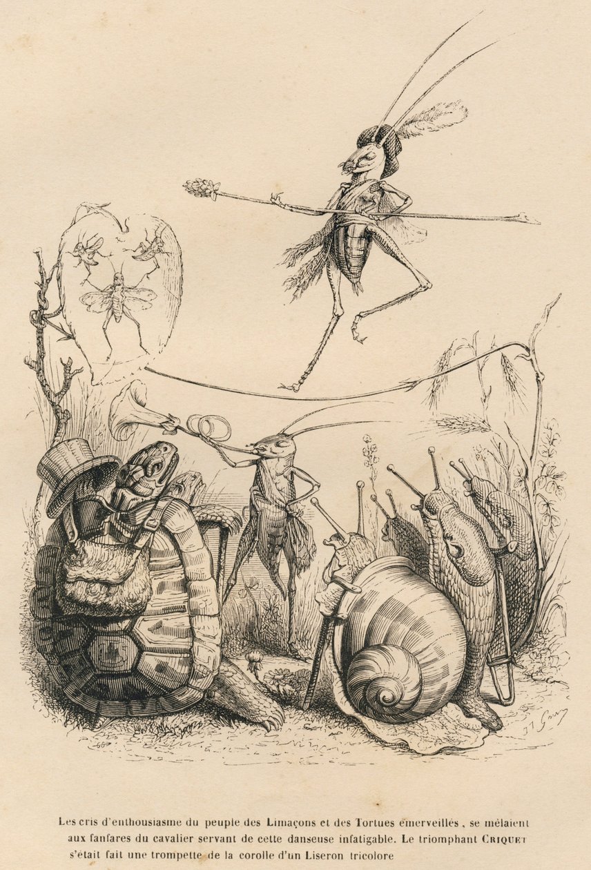 Grillo tocando la trompeta frente a una tortuga, un caracol y babosas. Sobre él, otro grillo equilibrista caminando sobre un hilo. Viñetas ilustradas por JJ Granville. Grabado firmado por Godard en la parte titulada "Las aventuras de una mariposa" de Grandville