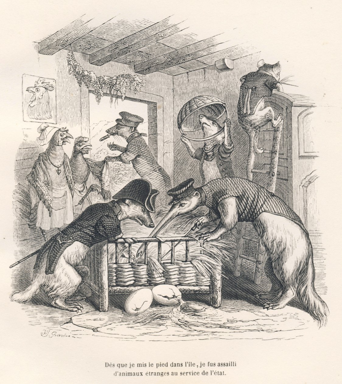 Tan pronto como puse un pie en la isla, fui asaltado por animales extraños al servicio del estado. Viñetas ilustradas por JJ Granville. Grabado firmado por Porret en la parte titulada "Viaje de un gorrión de París" escrito por George Sand en "Escenas de la de Grandville