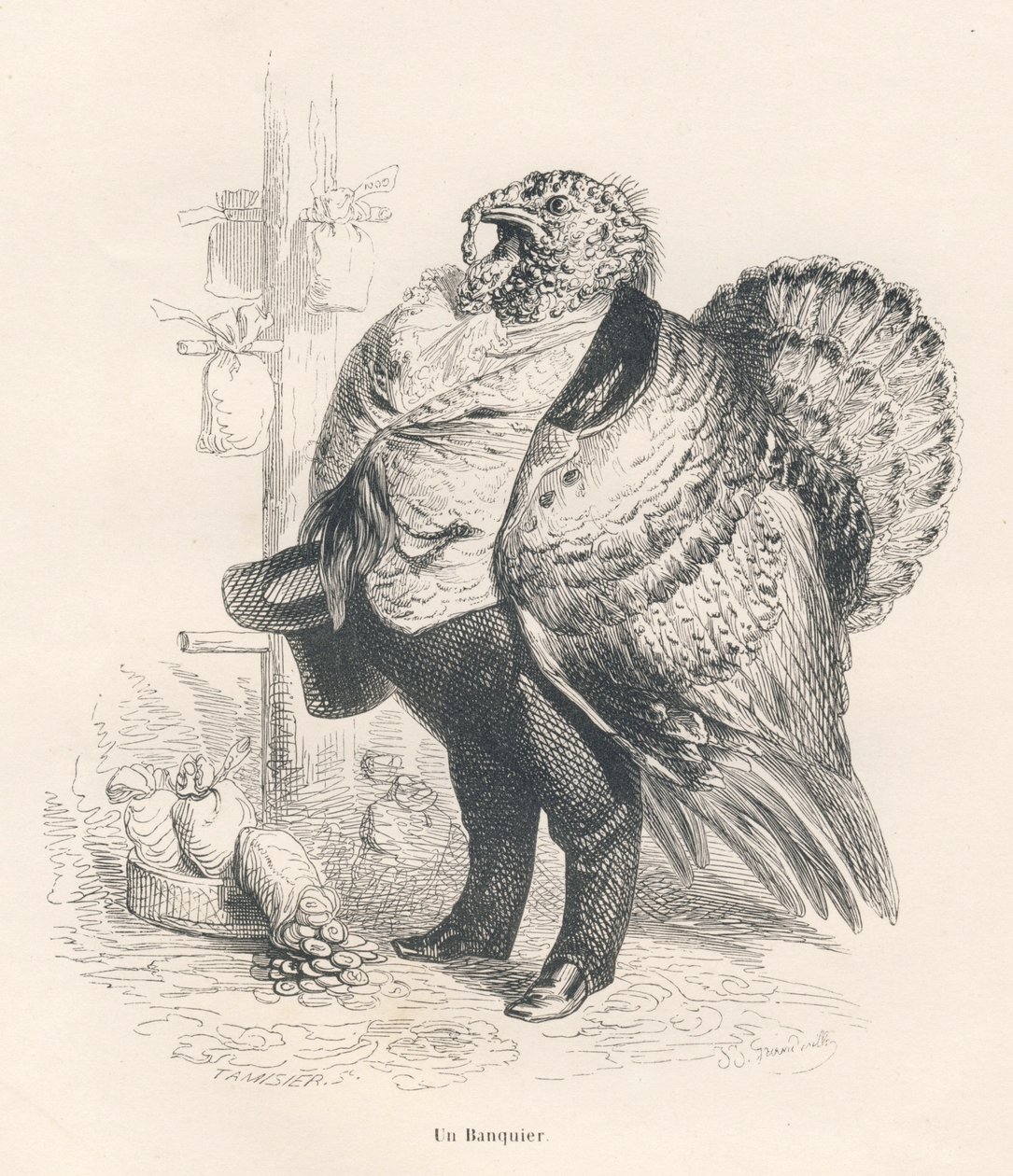 Pavo en banquero. Viñetas ilustradas por JJ Granville. Grabado firmado Tamisier en la parte titulada "Recuerdos de una vieja corneja" escrito por PJ Stahl en "Escenas de la vida privada y pública de los animales". París, J. Hetzel y Paulin de Grandville