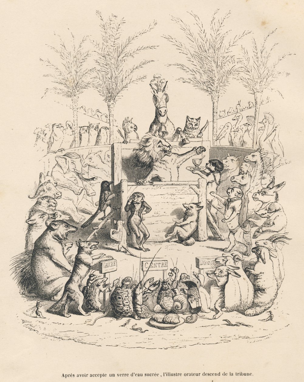 Discurso político del león en una tribuna rodeado de todos los demás animales. Viñetas ilustradas por JJ Granville. Grabado firmado por Godard en el prólogo titulado "Resumen parlamentario" escrito por PJ Stahl en "Escenas de la vida privada y pública de l de Grandville