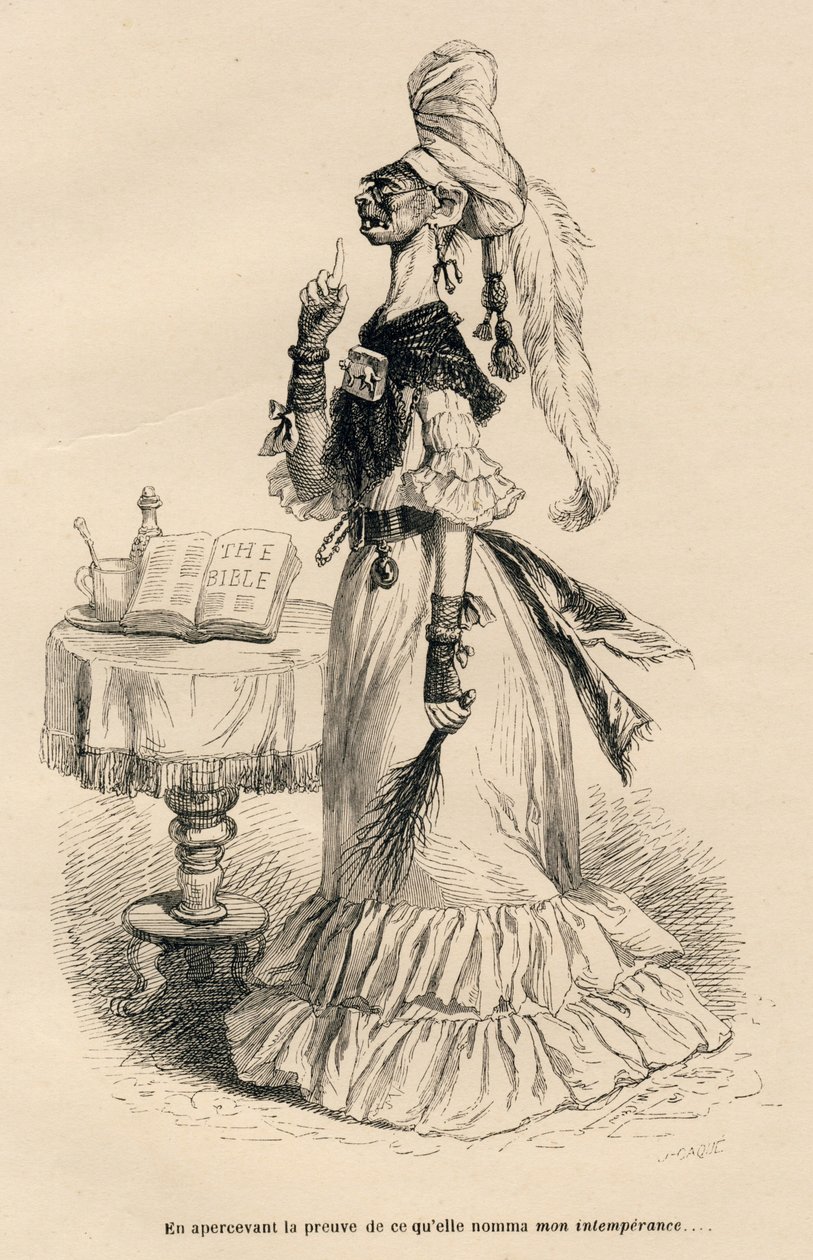 Al ver la prueba de lo que ella llamó mi intemperancia. Viñetas ilustradas por JJ Granville. Grabado firmado Caque en la parte titulada "Penas de corte de una gata inglesa" escrito por Honoré de Balzac en "Escenas de la vida privada y pública de los animal de Grandville