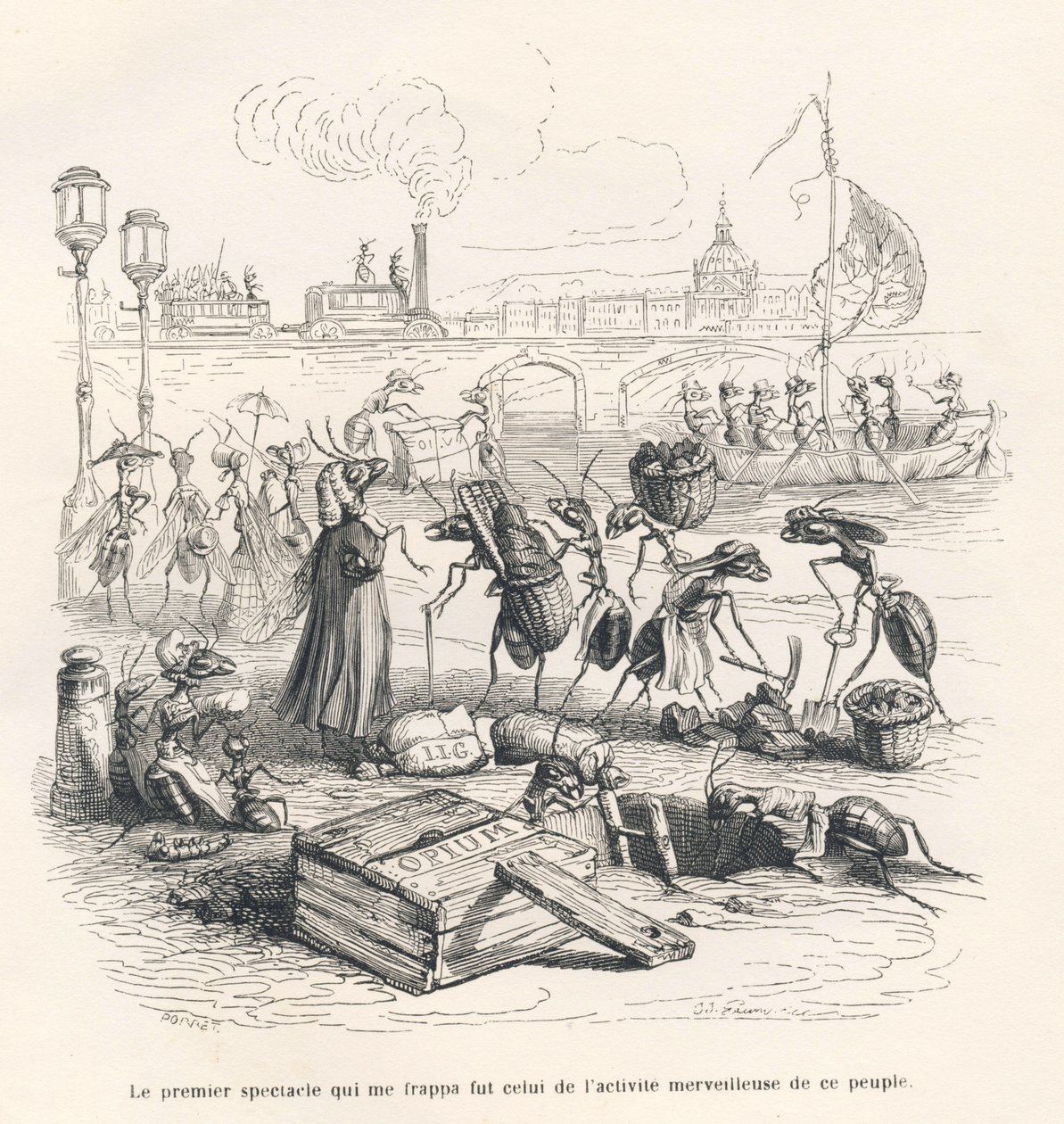 Hormigas en plena actividad en las orillas del Sena. Viñetas ilustradas por JJ Granville. Grabado firmado por Porret en la parte titulada "Viaje de un gorrión de París" escrito por George Sand en "Escenas de la vida privada y pública de los animales". Parí de Grandville