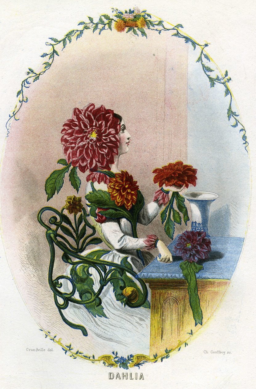 Ilustración para "Les Fleurs Animees de Grandville (1803 47)