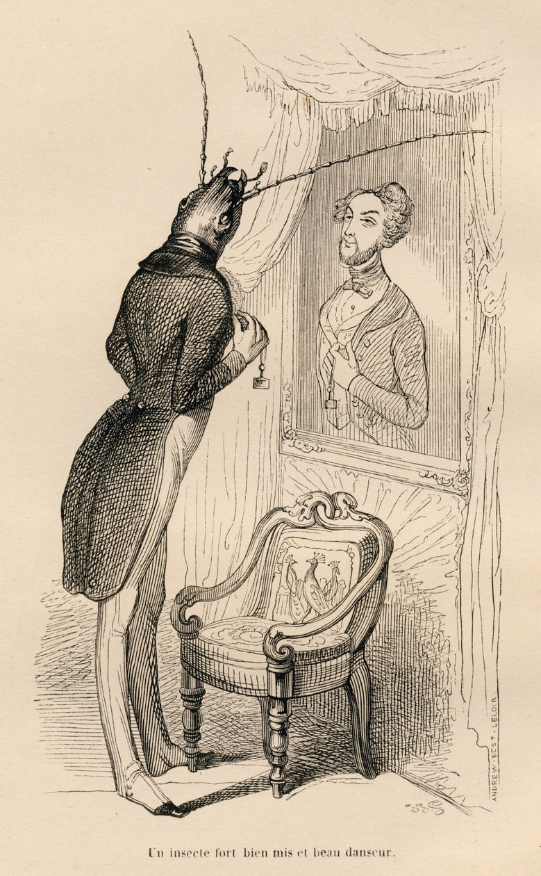 Insecto mirando su reflejo humano en el espejo. Viñetas ilustradas por JJ Granville. Grabado firmado Andrew, Best y Leloir en la parte titulada "Las aventuras de una mariposa" escrito por PJ Stahl en "Escenas de la vida privada y pública de los animales" de Grandville