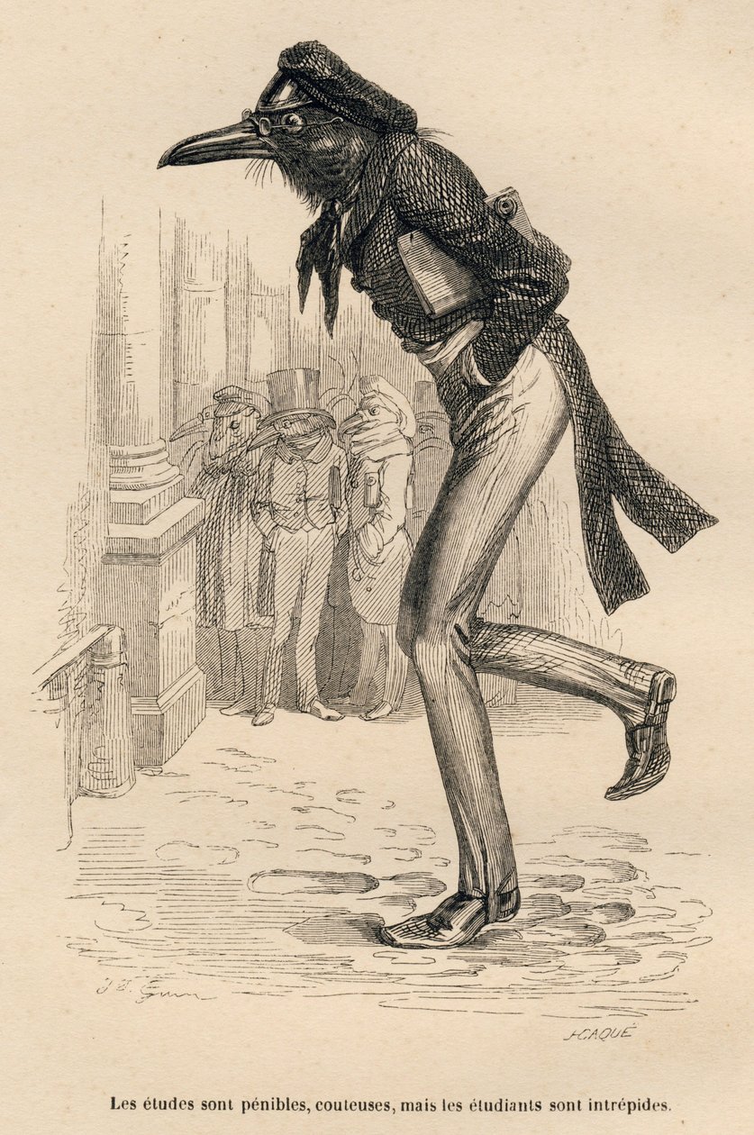 Los estudios son difíciles, costosos pero los estudiantes son intrépidos. Viñetas ilustradas por JJ Granville. Grabado firmado Caque en la parte titulada "Los animales médicos" escrito por Pierre Bernard en "Escenas de la vida privada y pública de los anim de Grandville