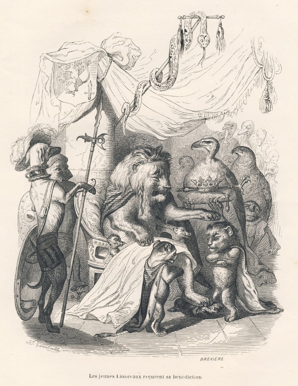 Los jóvenes leones reciben la bendición del rey león. Viñetas ilustradas por JJ Granville. Grabado firmado por Breviere en la parte titulada "Viaje de un león de África a París" escrito por Honoré de Balzac en "Escenas de la vida privada y pública de los a de Grandville