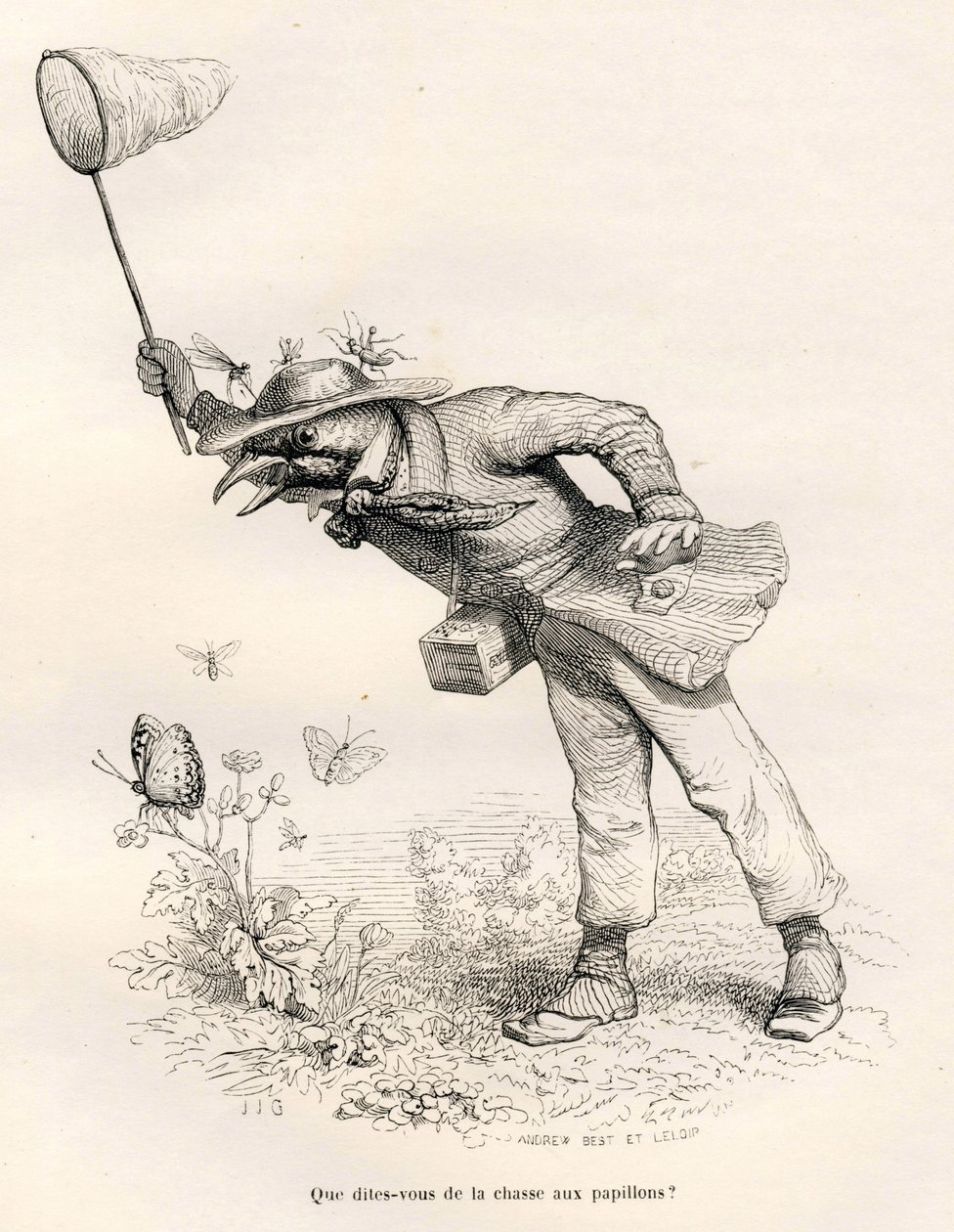 Oiseau chassant les papillons de Grandville