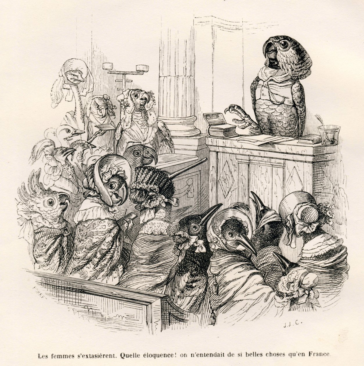 Loro elocuente. Viñetas ilustradas por JJ Granville. Grabado firmado Porret en la parte titulada "Guía-burro para el uso de los animales que quieren alcanzar honores" escrito por Honoré De Balzac en "Escenas de la vida privada y pública de los animales" de Grandville