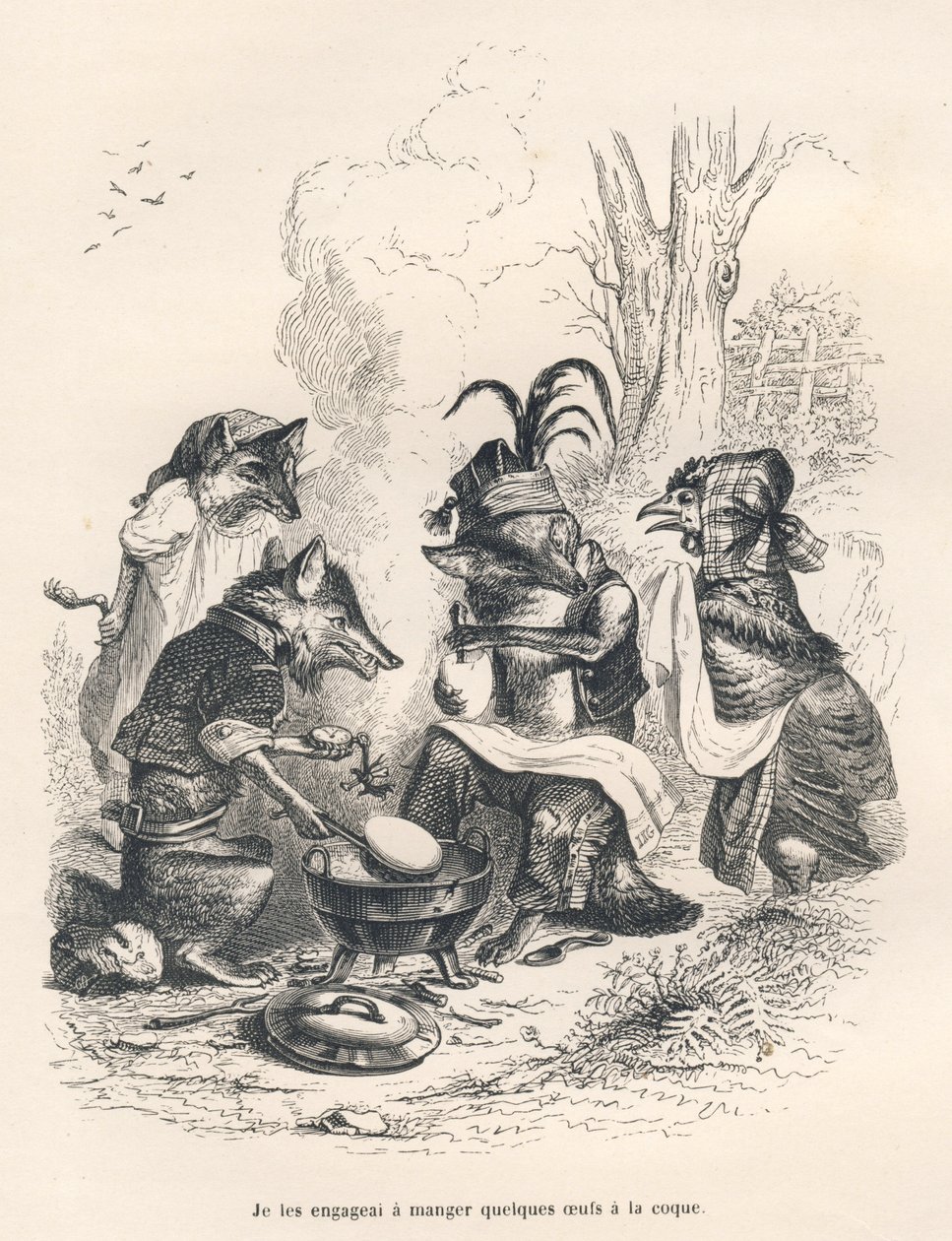 Zorros comiendo huevos a la coq frente a una gallina llorando. Viñetas ilustradas por JJ Granville. Grabado firmado por Godard en la parte titulada "Un zorro atrapado" escrito por Charles Nodier en "Escenas de la vida privada y pública de los animales". Pa de Grandville