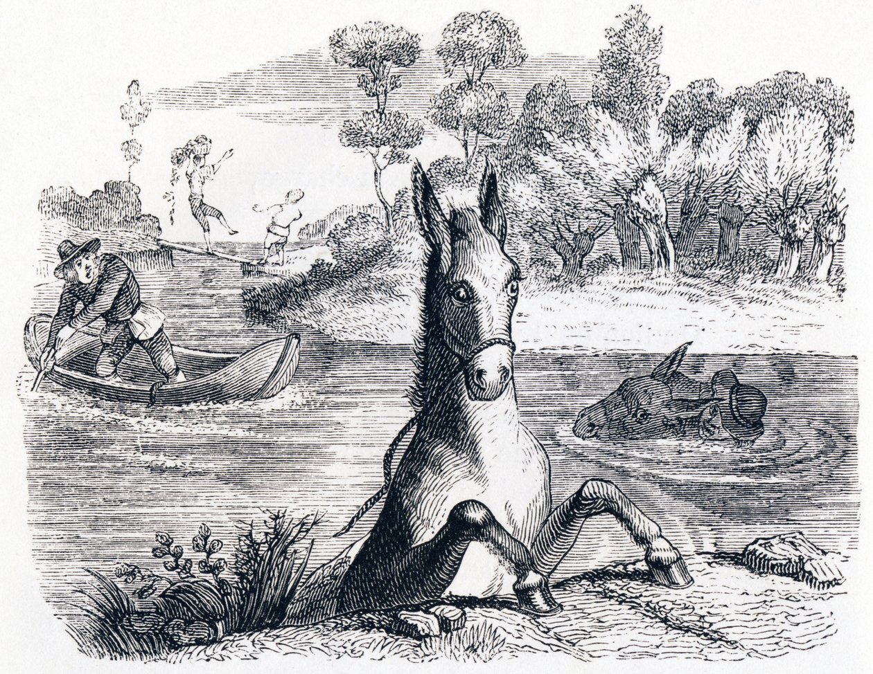 El burro con la esponja y el burro con la sal - Fábulas de La Fontaine de Grandville