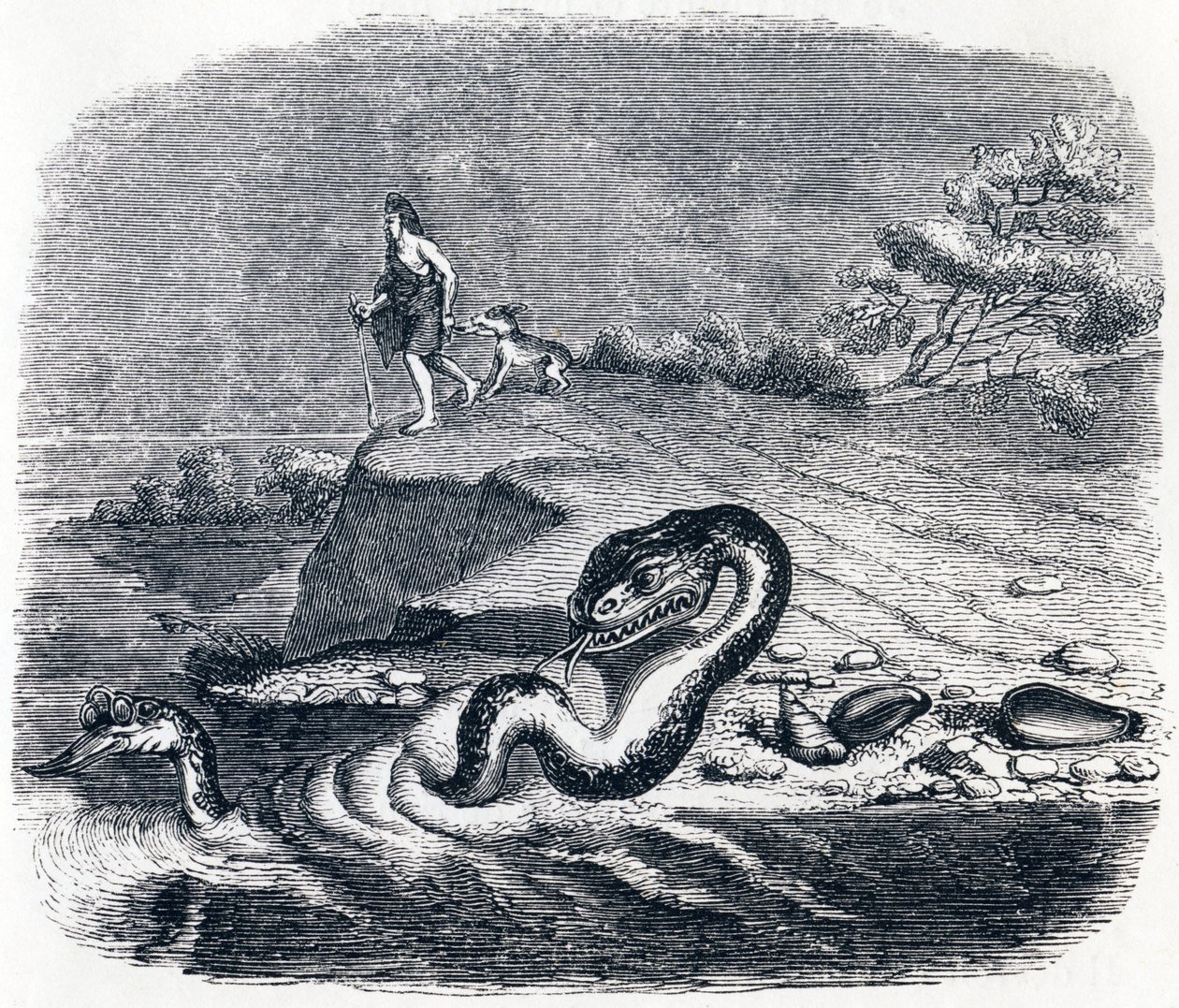 La cabeza y la cola de la serpiente - Fábulas de La Fontaine de Grandville