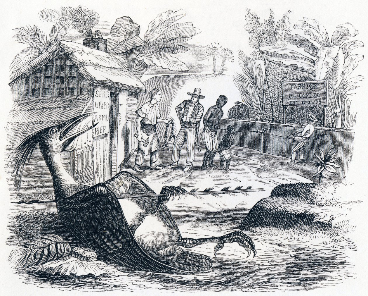 El pájaro herido por una flecha - Fábulas de La Fontaine de Grandville