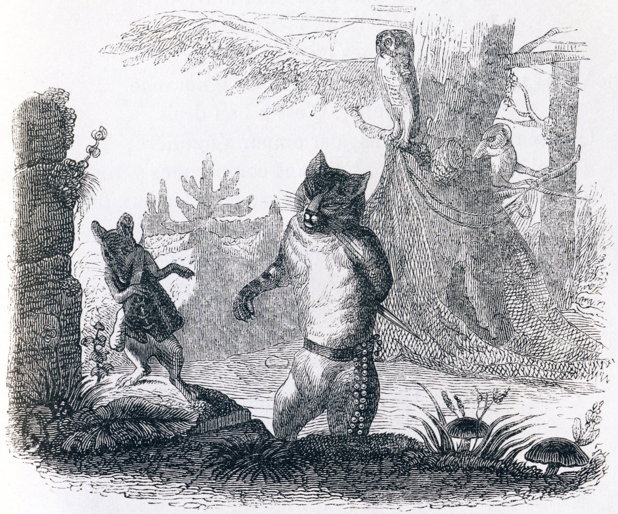 El gato y la rata - Fábulas de La Fontaine de Grandville
