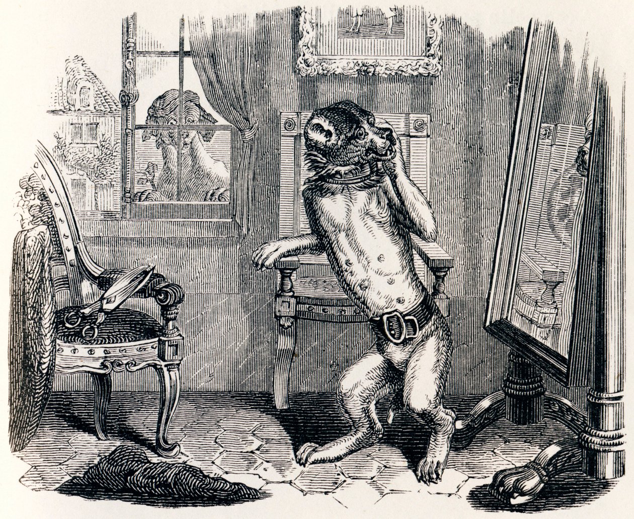 El perro con las orejas cortadas - Fábulas de La Fontaine de Grandville
