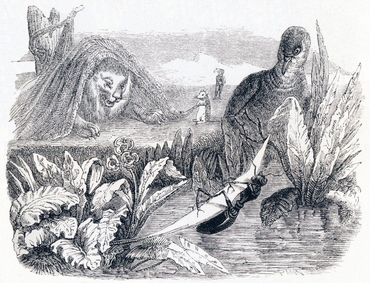 La paloma y la hormiga - Fábulas de La Fontaine de Grandville