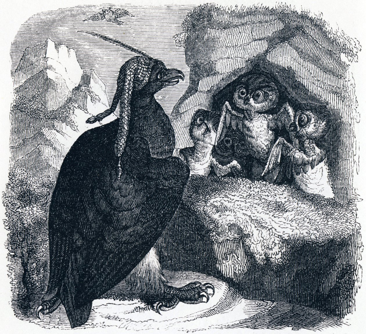 El águila y el búho - Fábulas de La Fontaine de Grandville