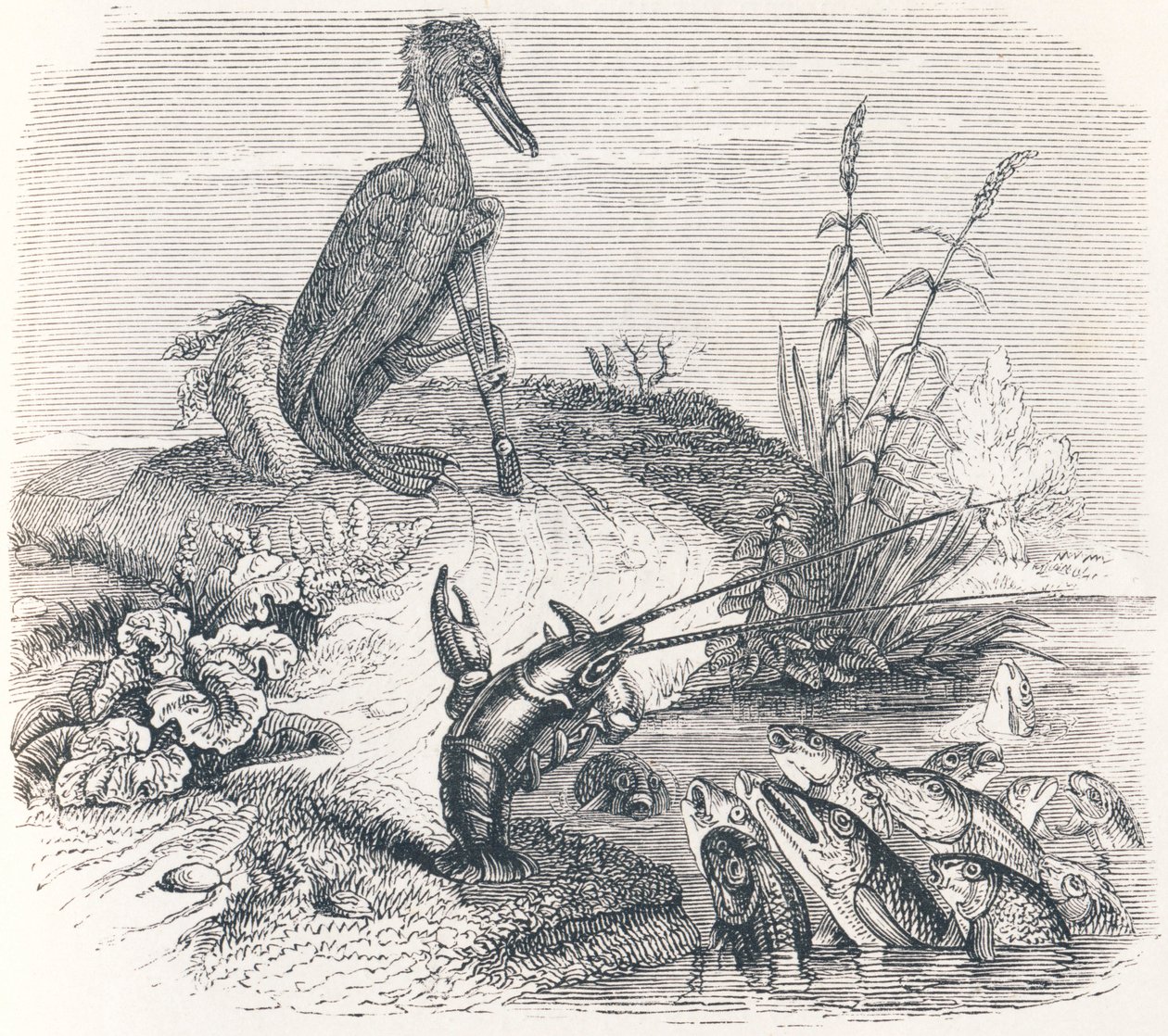 Los peces y el cormorán (Les poissons et le cormoran) - Fábulas de La Fontaine de Grandville