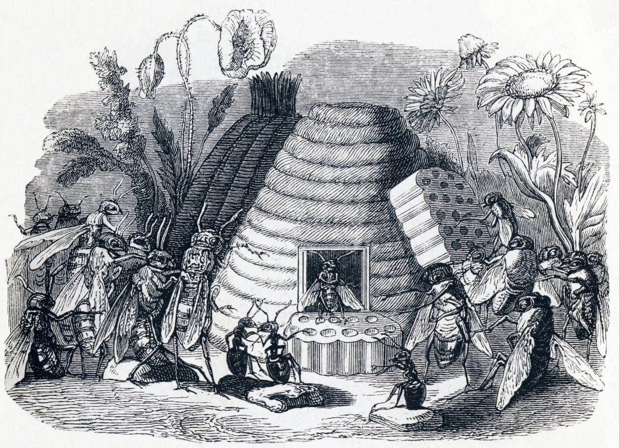 Los avispones y las moscas de miel - Fábulas de La Fontaine de Grandville