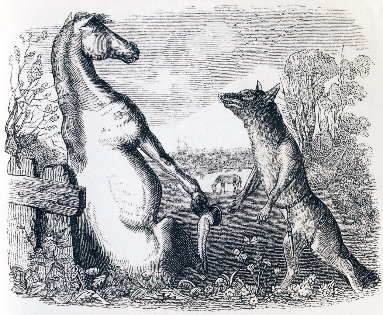 El caballo y el lobo - Fábulas de La Fontaine de Grandville