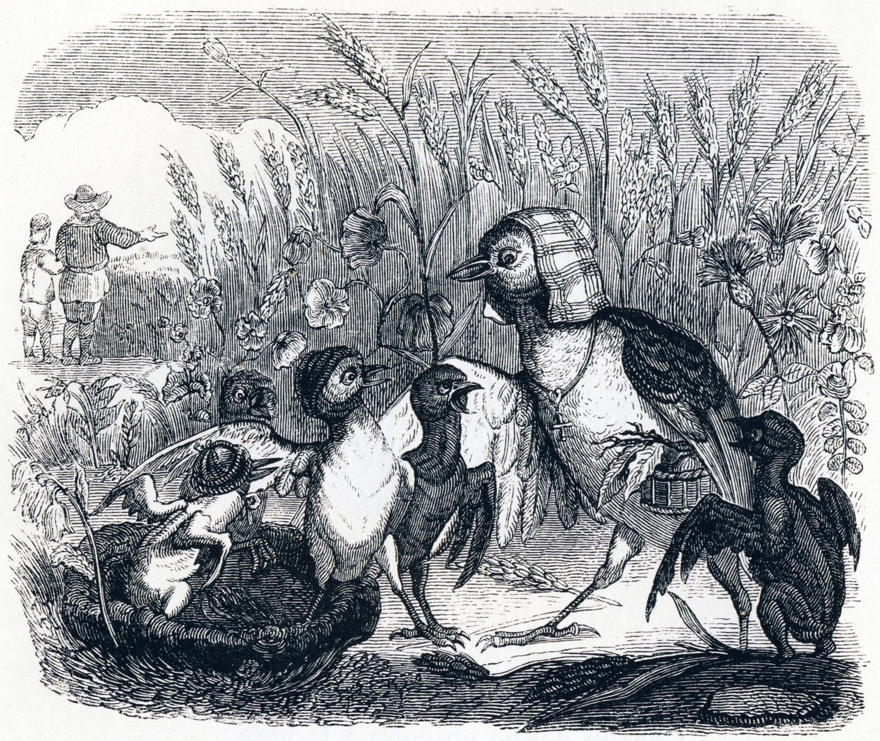 La alondra y sus crías, con el dueño del campo - Fábulas de La Fontaine de Grandville
