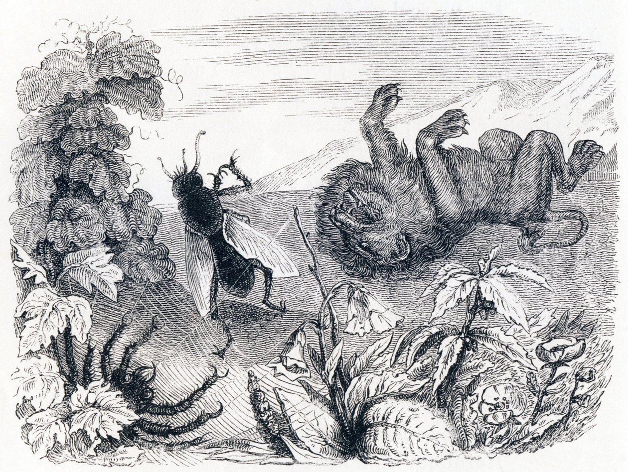 El león y la niebla - Fábulas de La Fontaine de Grandville