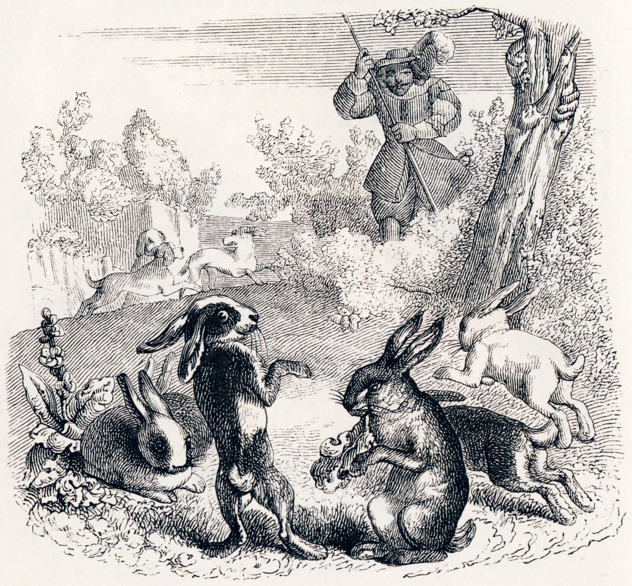 Los conejos - Fábulas de La Fontaine de Grandville