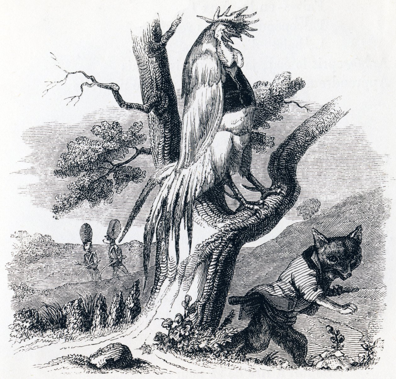 El gallo y el zorro - Fábulas de La Fontaine de Grandville