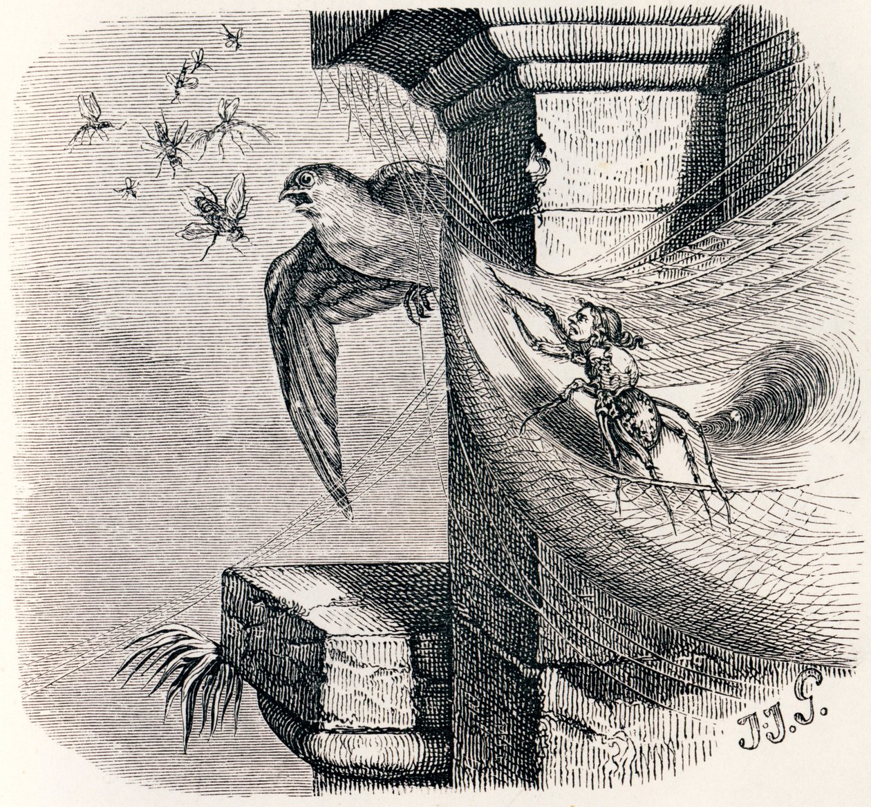 La araña y la golondrina - Fábulas de La Fontaine de Grandville