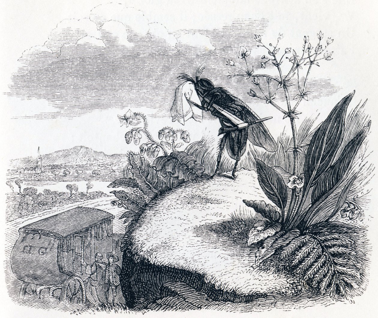 La garrapata y la mosca - Fábulas de La Fontaine de Grandville