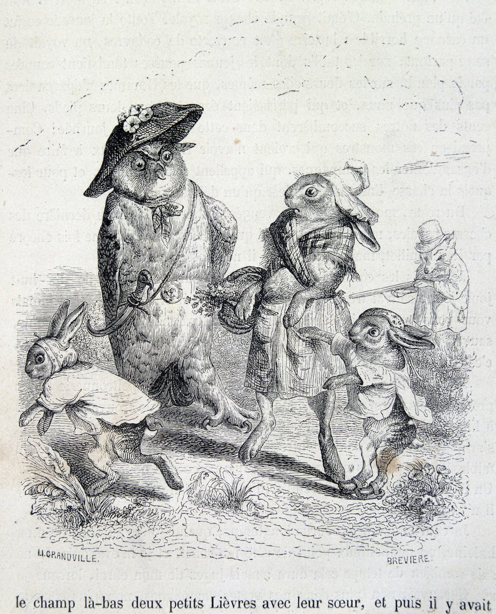 Las dos liebres pequeñas, su hermana y el búho - por Grandville de Grandville