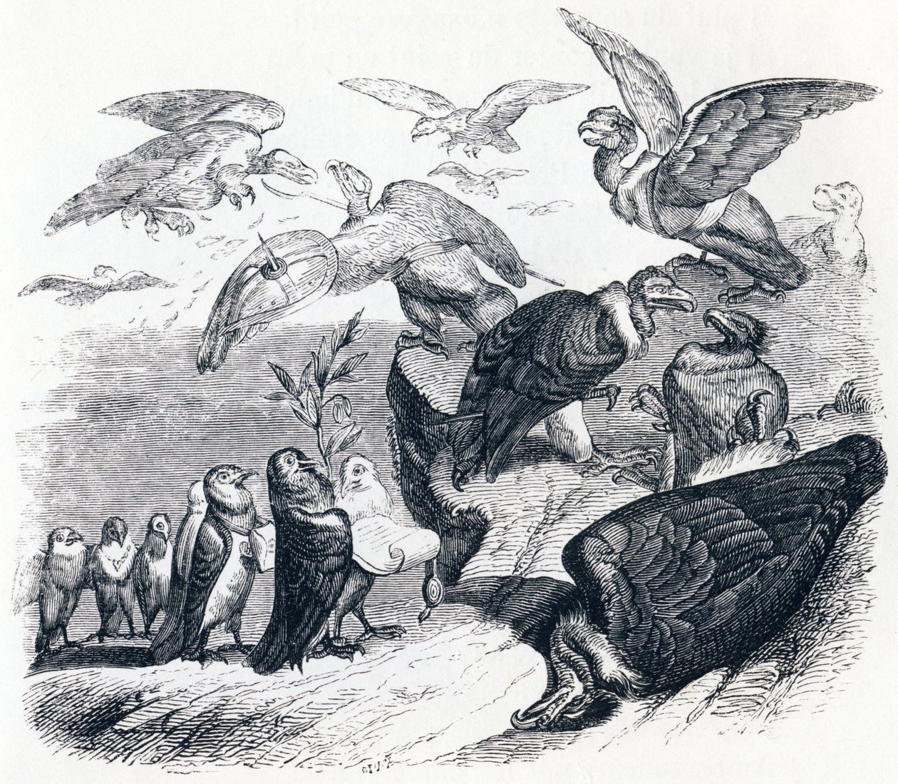Los buitres y las palomas - Fábulas de La Fontaine de Grandville
