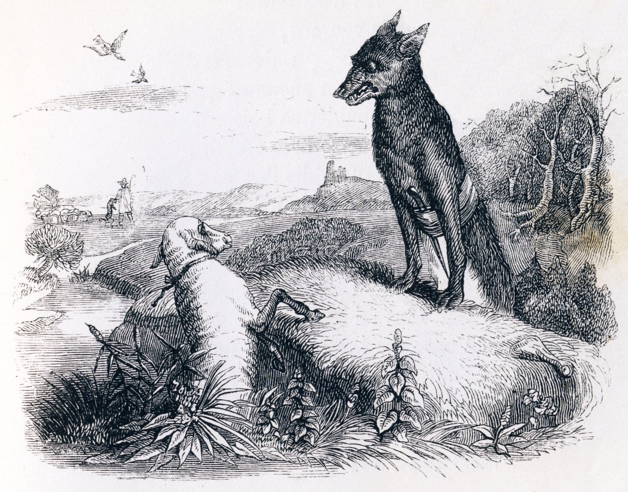 El lobo y el cordero - Fábulas de La Fontaine de Grandville