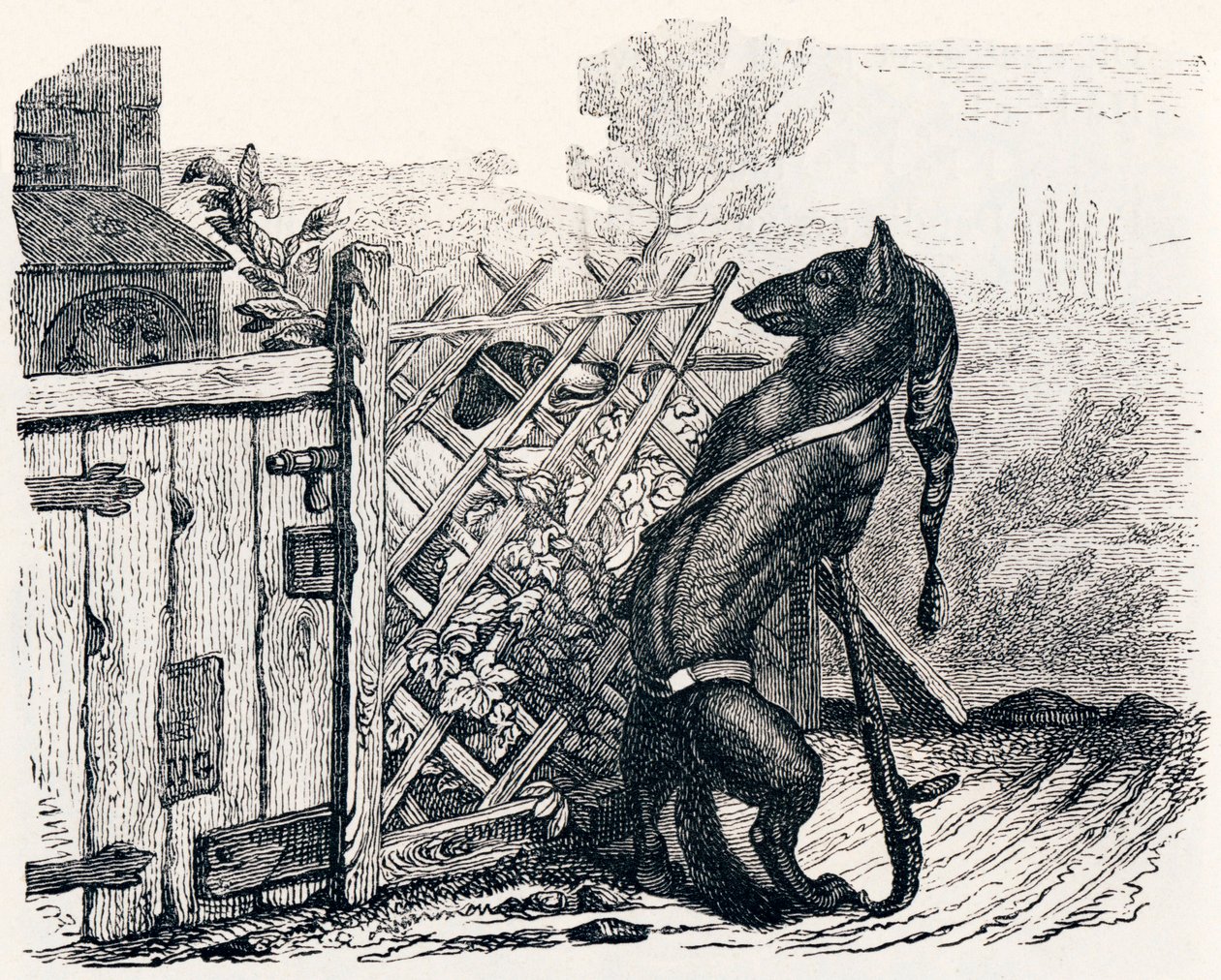 El lobo y el perro flaco - Fábulas de La Fontaine de Grandville