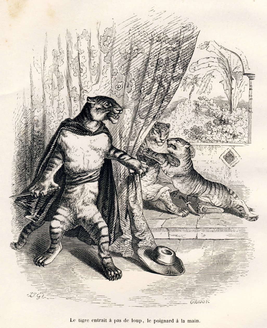Tigre entrando en escena con el puñal en la mano. Viñetas ilustradas por JJ Granville. Grabado firmado por Godard en la parte titulada "Le premier feuilleton de Pistolet" escrito por Jules Janin en "Scènes de la vie privée et publique des animaux". París,  de Grandville