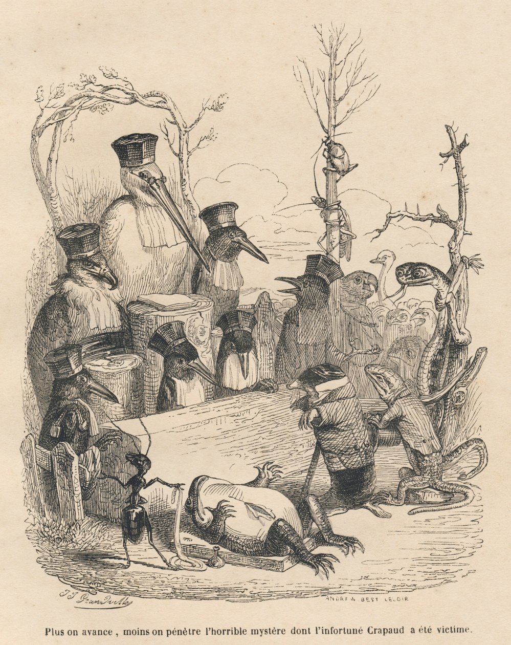 Tribunal constituido por cigüeña y otros pájaros, un topo y un lagarto para desenmascarar al culpable del asesinato del sapo. Viñetas ilustradas por JJ Granville. Grabado firmado por Andrew, Best y Leloir en la parte titulada "Corte criminal de justicia an de Grandville