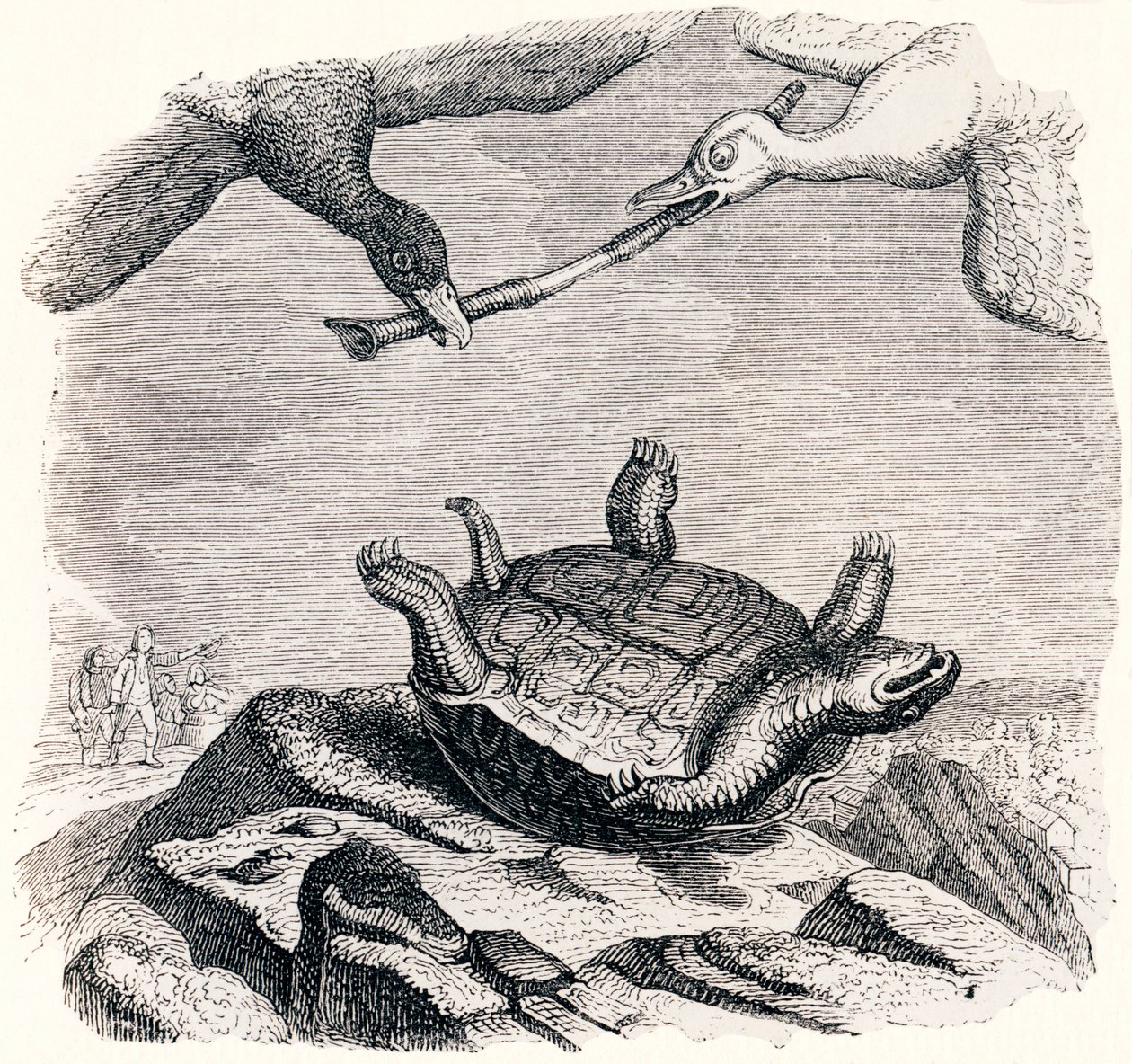 La tortuga y los dos patos (La tortue et les deux canards) - Fábulas de La Fontaine de Grandville