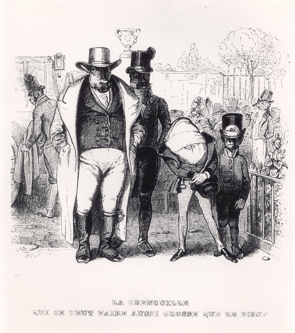 La Rana y el Buey, ilustración para 