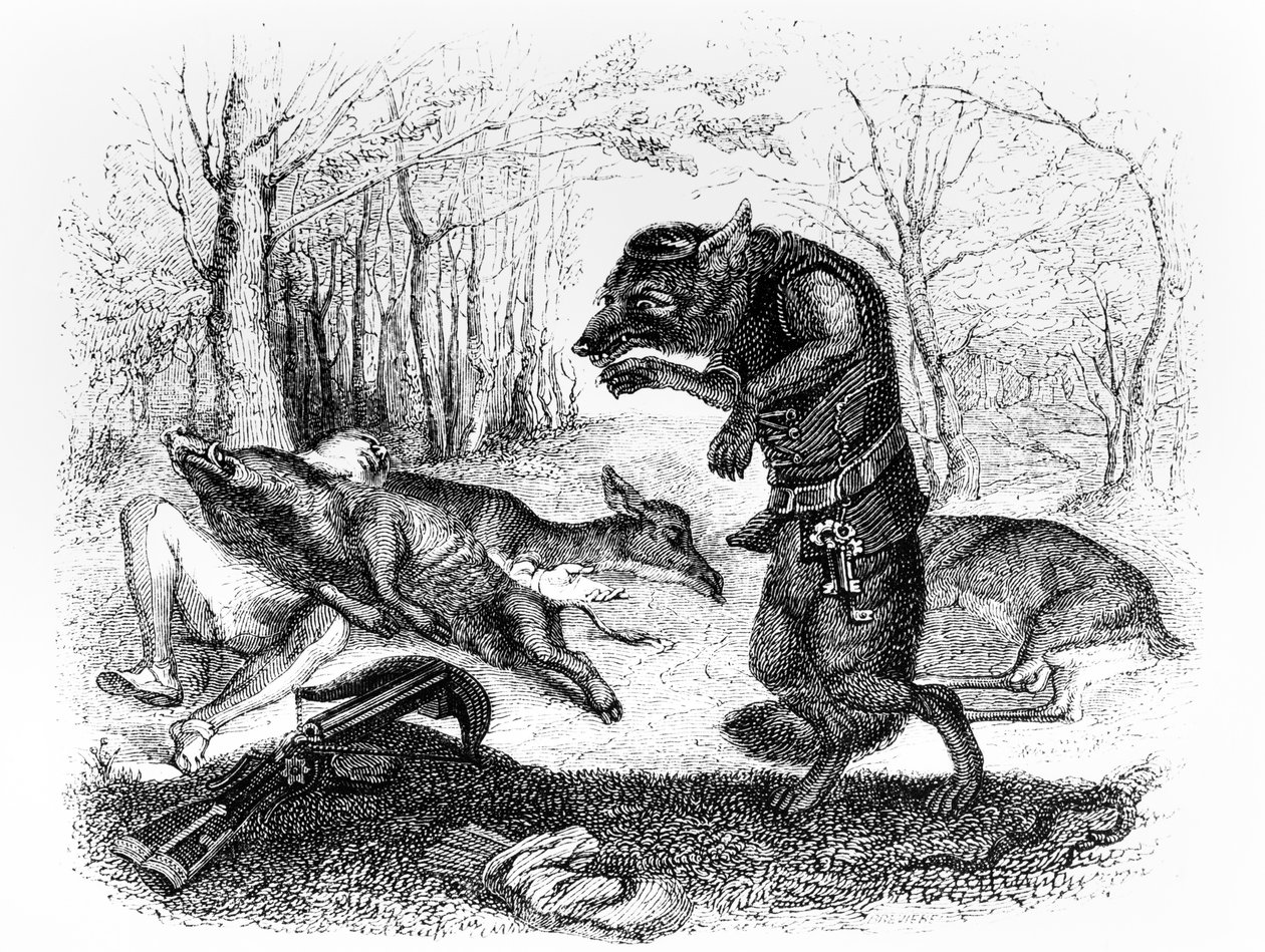 El Lobo y el Cazador, ilustración para 