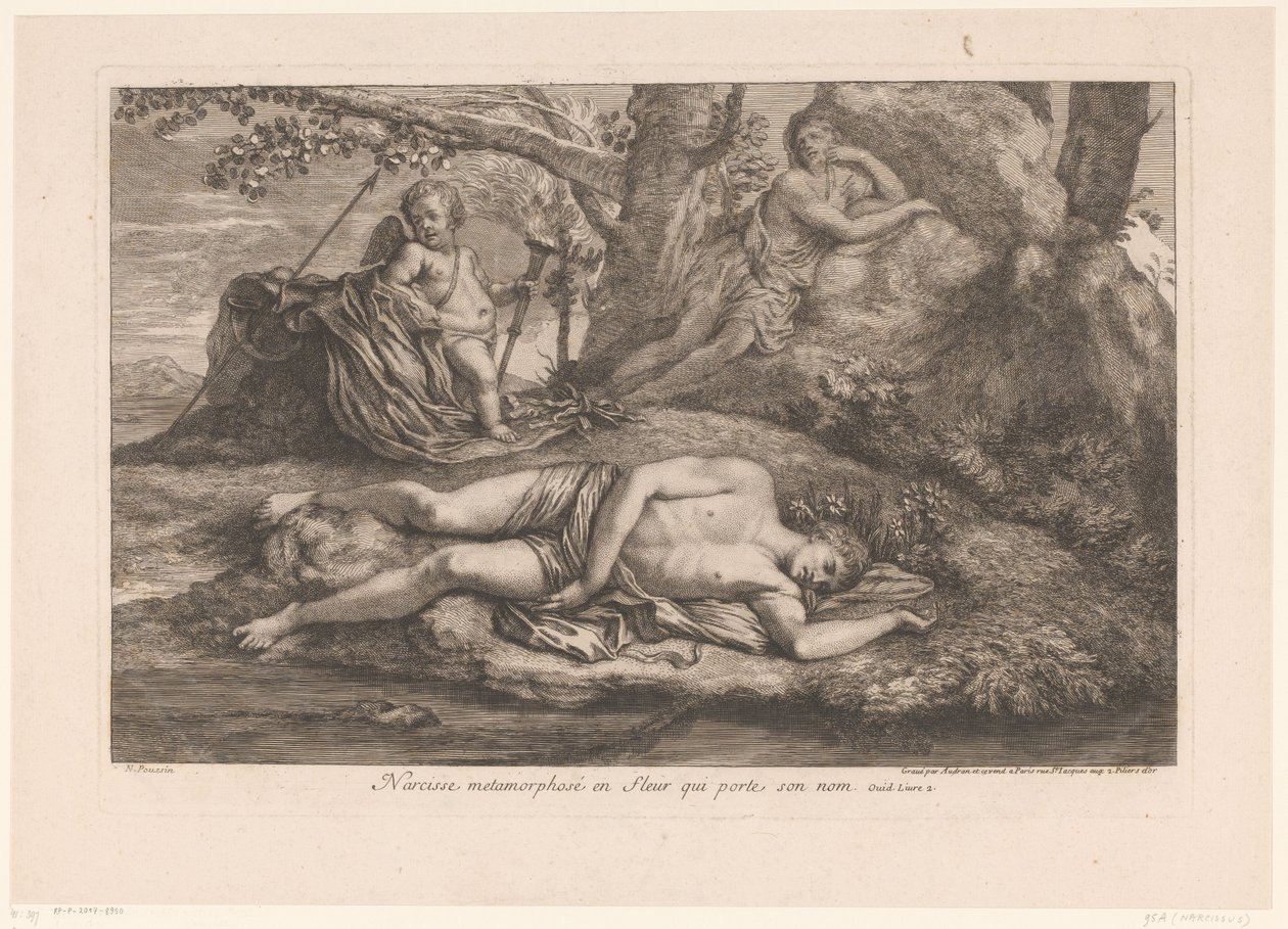 Narciso en Eco
Narciso metamorfoseado en la flor que lleva su nombre (título en el objeto) de Gérard Audran