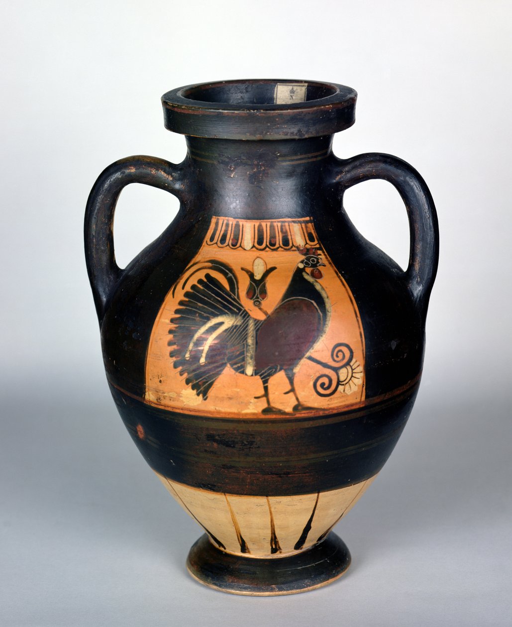 Ánfora que representa un gallo, estilo corintio (cerámica) de Greek
