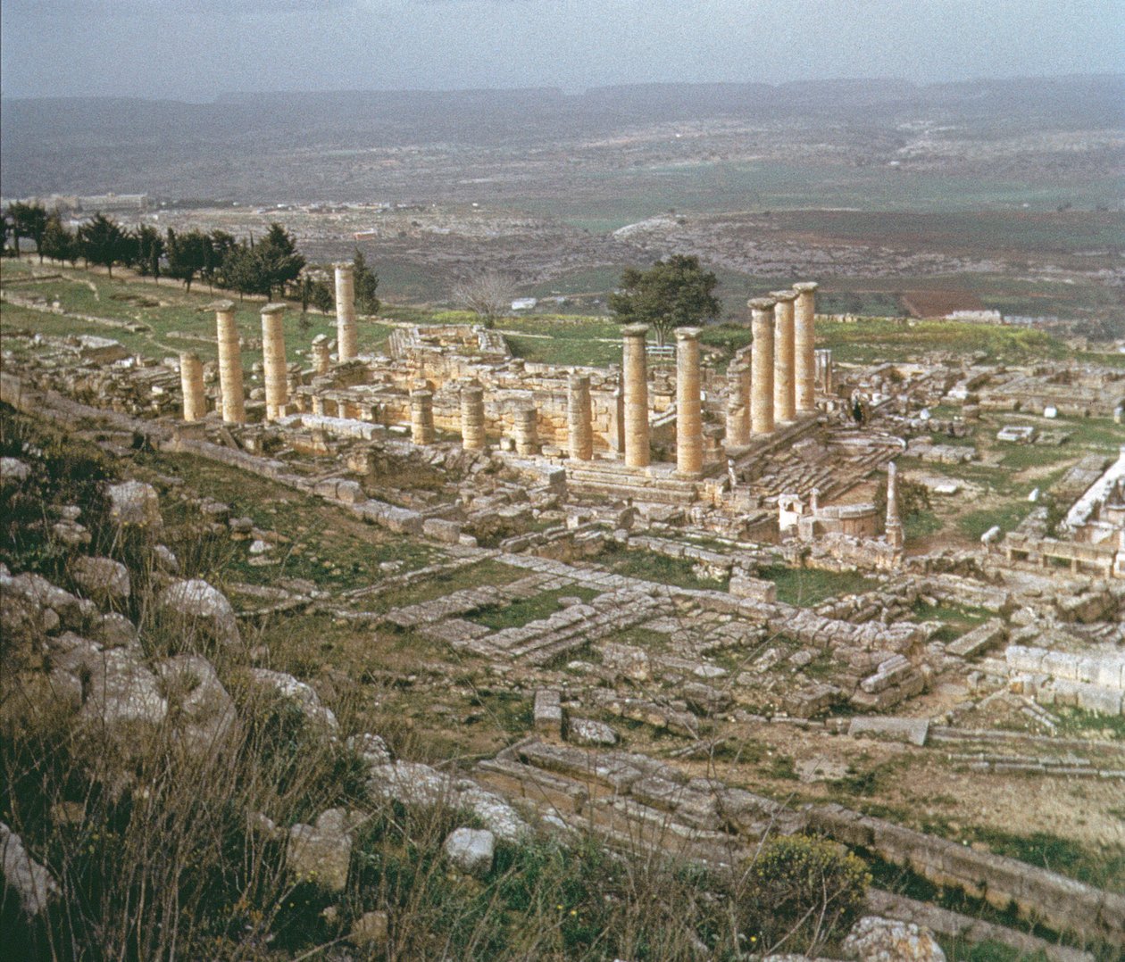 Vista general de la baja Cirene de Greek