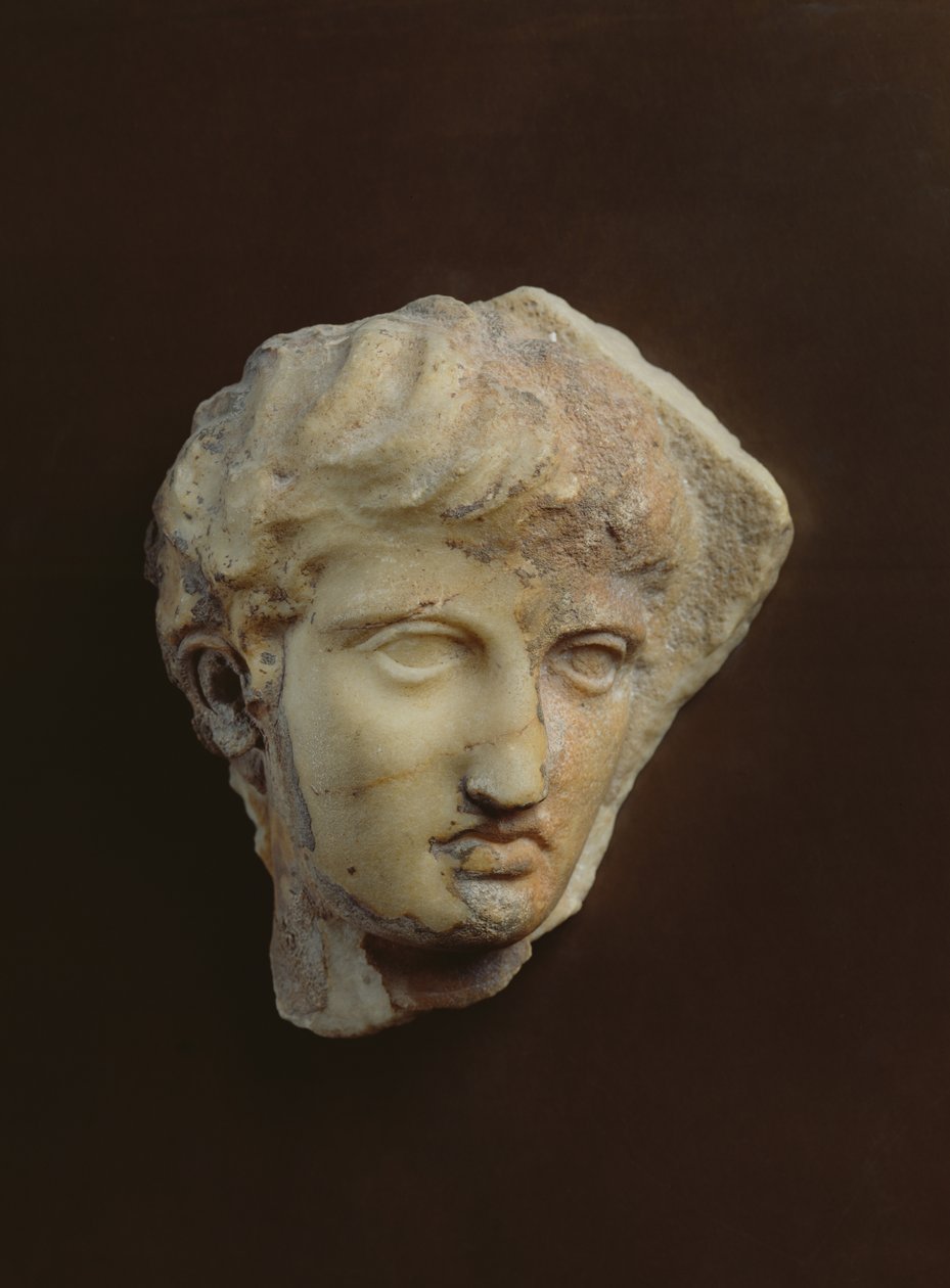 Cabeza de un caballero conocido como La Coulonche de Greek