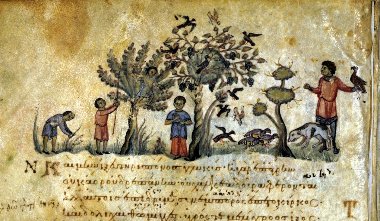 Caza con halcón y captura de nidos de aves. Manuscrito griego de Oppianus De Venatione siglo XIII de Greek School