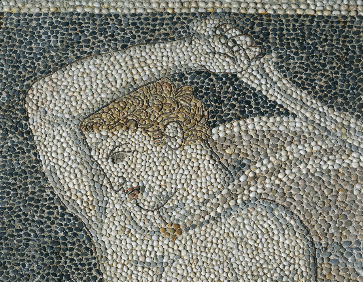 Krateros, c.320 a.C. (detalle) de Greek School