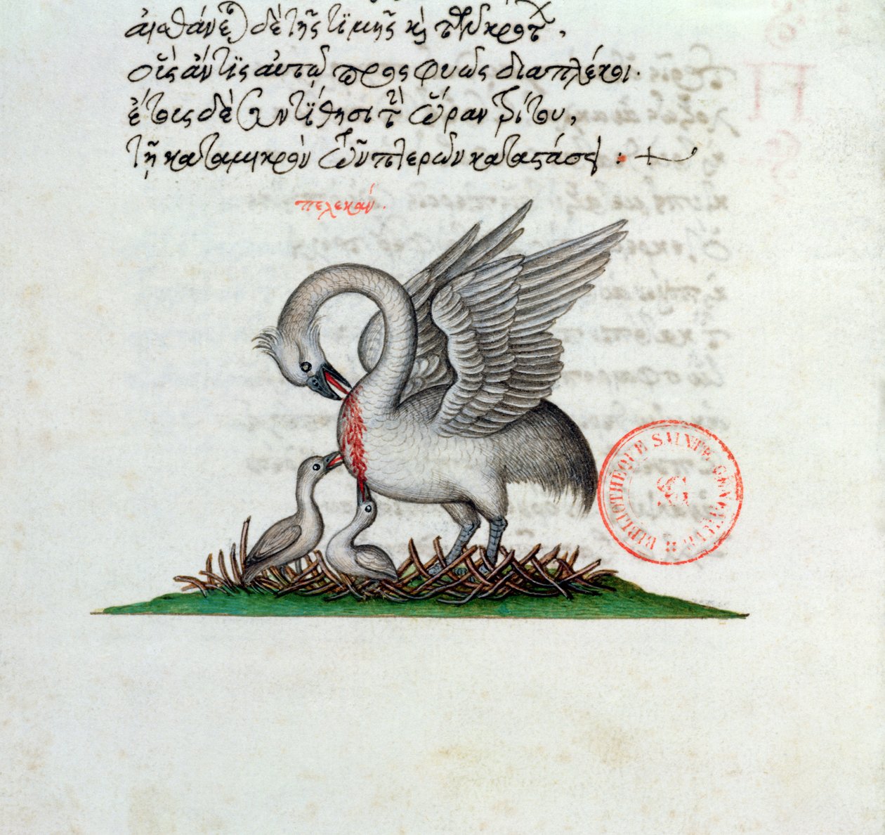 Ms 3401 Un pelícano perforando su pecho para alimentar a sus crías, de un Bestiario de Manuel Philes, 1566 de Greek School