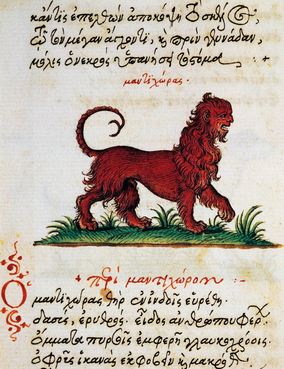 Tratado sobre el grifo, texto y miniatura de De animalium natura et proprietate libellus, por Eliano (siglos II-III d.C.) de Greek School