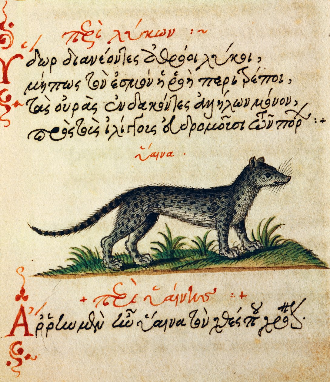 Tratado sobre la Hiena, texto y miniatura de De animalium natura et proprietate libellus, por Aelianus (siglos II-III d.C.) de Greek School
