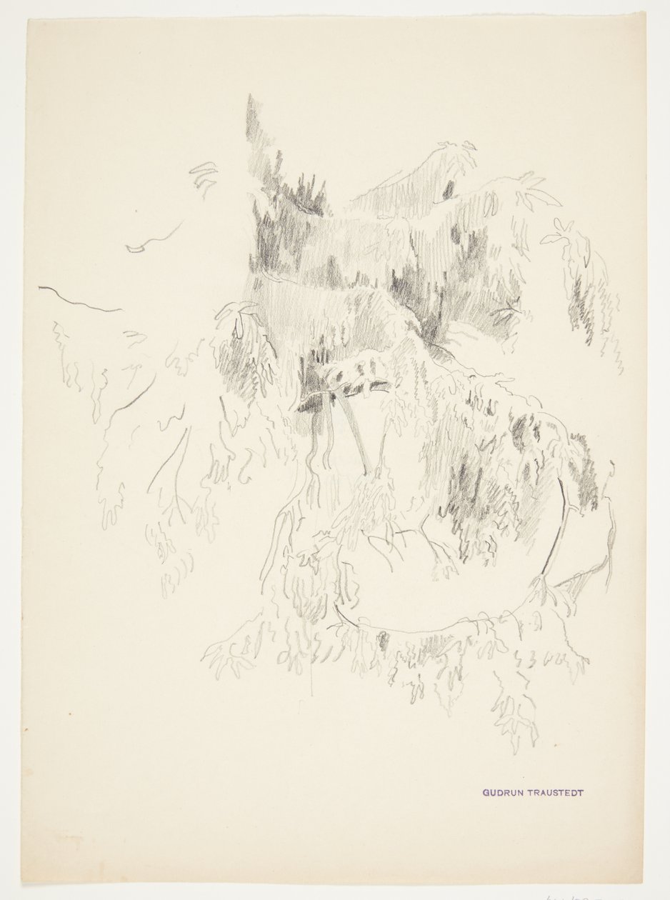 Estudio de ramas de Gudrun Traustedt