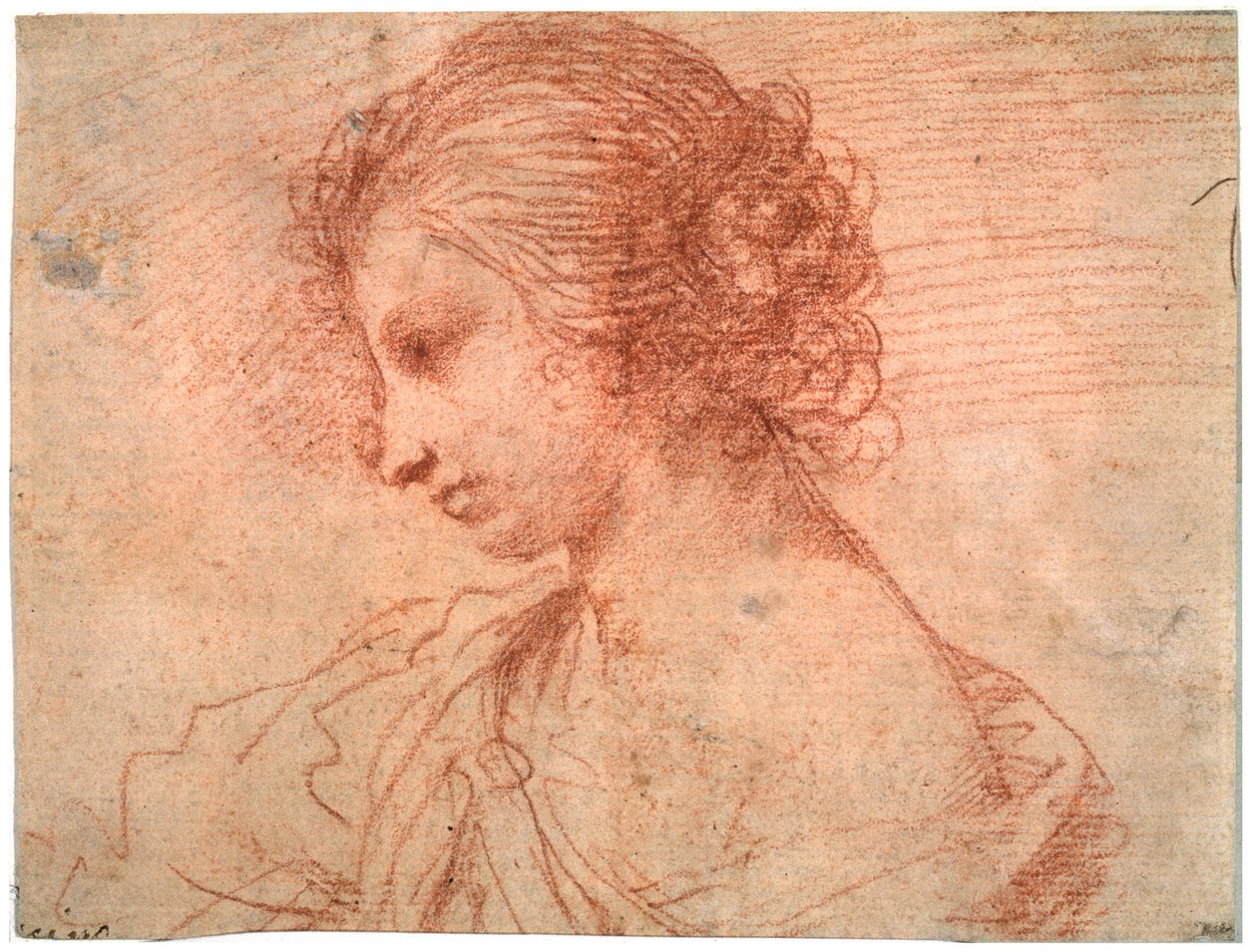 Retrato de busto de una joven, siglo XVII de Guercino