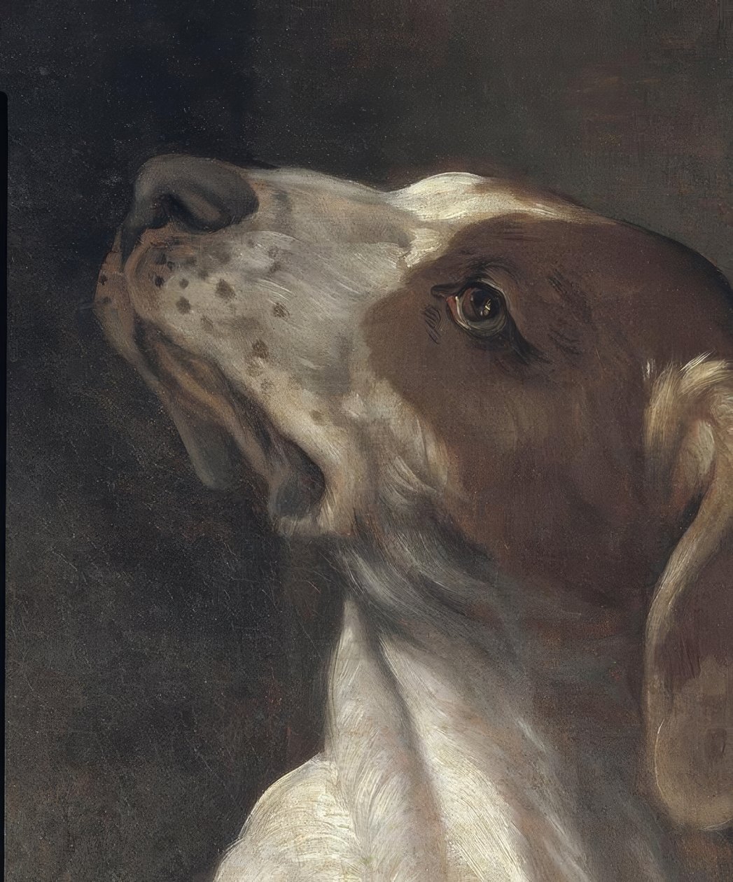 San Roque en prisión, consolado por un ángel de Guido Reni